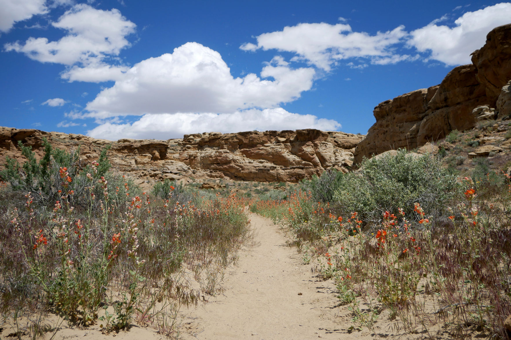 Chaco10.jpg
